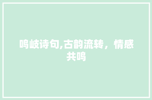 鸣岐诗句,古韵流转，情感共鸣