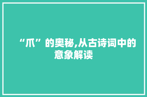 “爪”的奥秘,从古诗词中的意象解读
