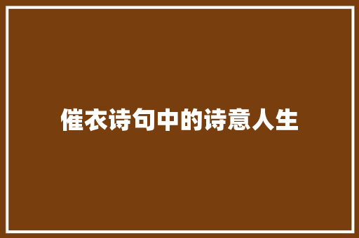 催衣诗句中的诗意人生