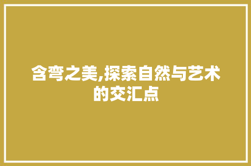 含弯之美,探索自然与艺术的交汇点 成语大全