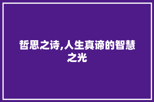 哲思之诗,人生真谛的智慧之光