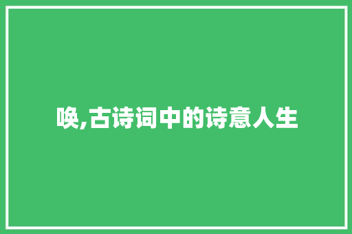 唤,古诗词中的诗意人生