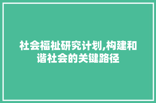 社会福祉研究计划,构建和谐社会的关键路径