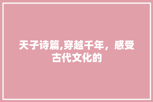 天子诗篇,穿越千年，感受古代文化的