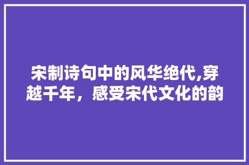 宋制诗句中的风华绝代,穿越千年，感受宋代文化的韵味