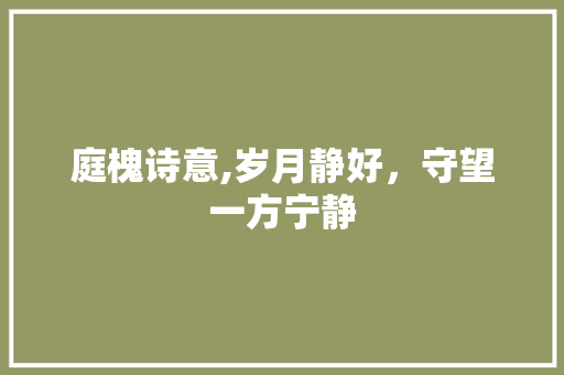 庭槐诗意,岁月静好，守望一方宁静