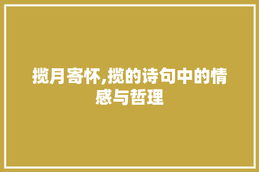 揽月寄怀,揽的诗句中的情感与哲理