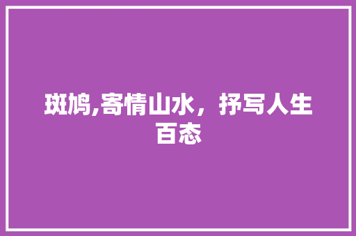 斑鸠,寄情山水，抒写人生百态