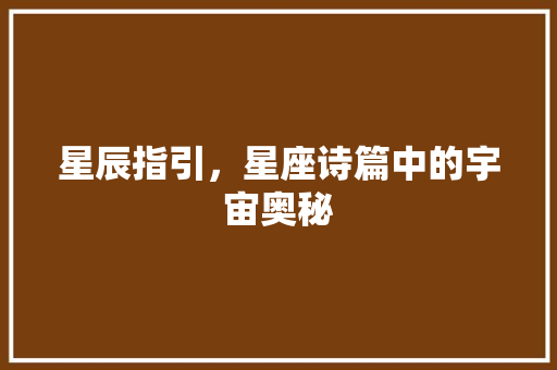 星辰指引，星座诗篇中的宇宙奥秘