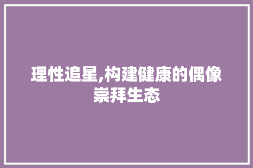理性追星,构建健康的偶像崇拜生态