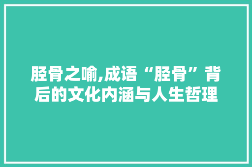 胫骨之喻,成语“胫骨”背后的文化内涵与人生哲理