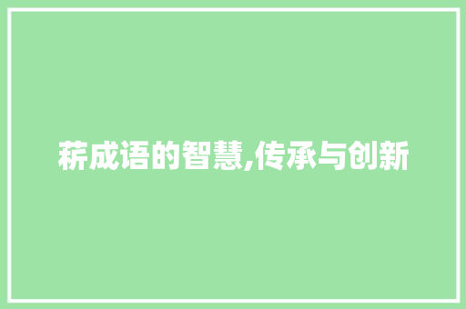菥成语的智慧,传承与创新