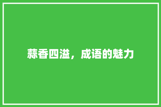 蒜香四溢，成语的魅力