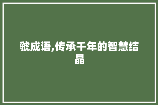虢成语,传承千年的智慧结晶