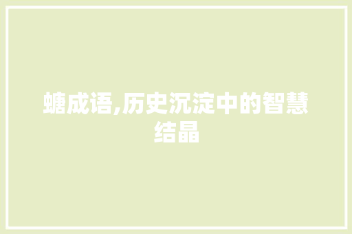 螗成语,历史沉淀中的智慧结晶