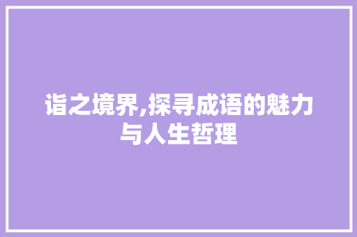 诣之境界,探寻成语的魅力与人生哲理