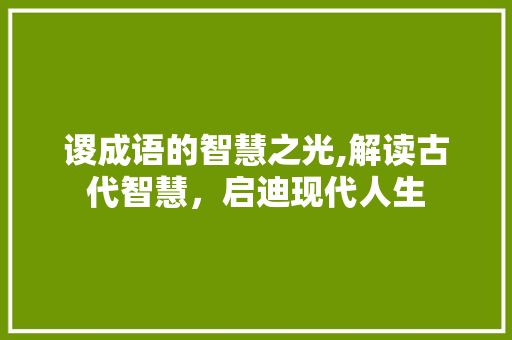 谡成语的智慧之光,解读古代智慧，启迪现代人生