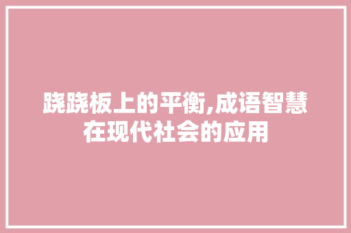 跷跷板上的平衡,成语智慧在现代社会的应用
