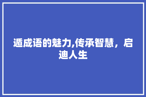 遁成语的魅力,传承智慧，启迪人生