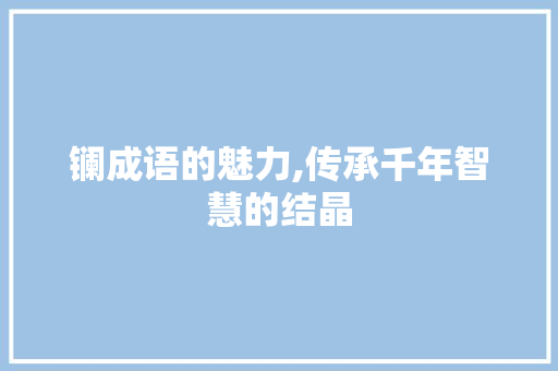 镧成语的魅力,传承千年智慧的结晶