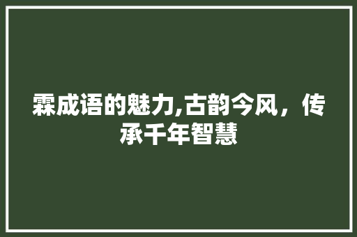 霖成语的魅力,古韵今风，传承千年智慧
