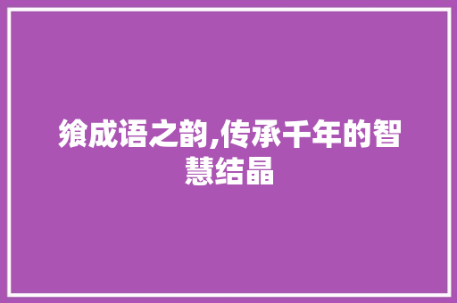 飨成语之韵,传承千年的智慧结晶
