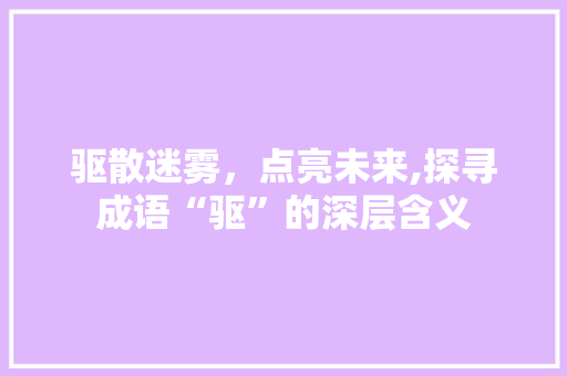 驱散迷雾，点亮未来,探寻成语“驱”的深层含义