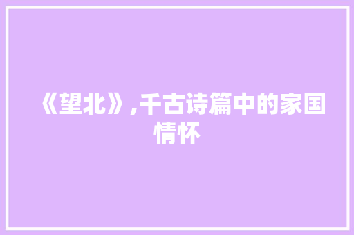 《望北》,千古诗篇中的家国情怀