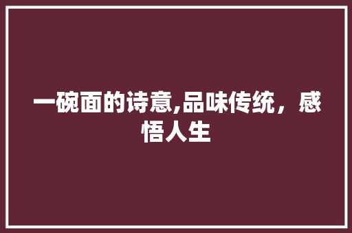 一碗面的诗意,品味传统，感悟人生