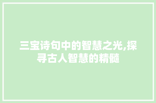 三宝诗句中的智慧之光,探寻古人智慧的精髓