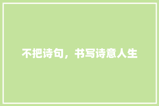 不把诗句，书写诗意人生