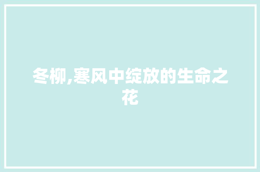 冬柳,寒风中绽放的生命之花