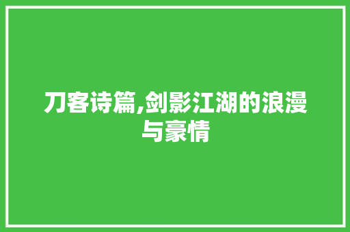 刀客诗篇,剑影江湖的浪漫与豪情