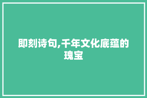 即刻诗句,千年文化底蕴的瑰宝