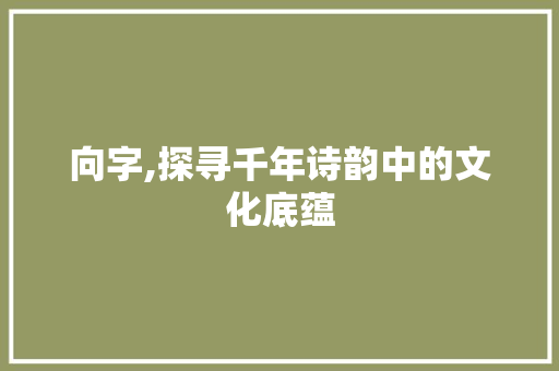 向字,探寻千年诗韵中的文化底蕴