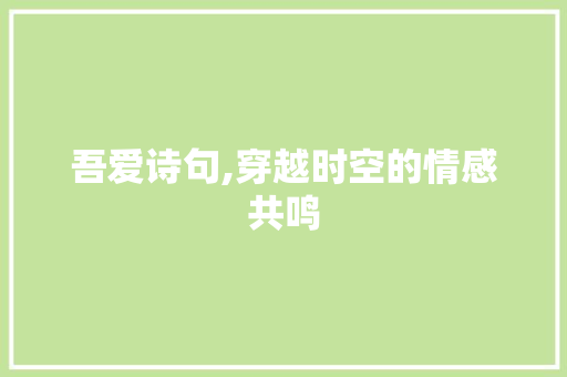 吾爱诗句,穿越时空的情感共鸣