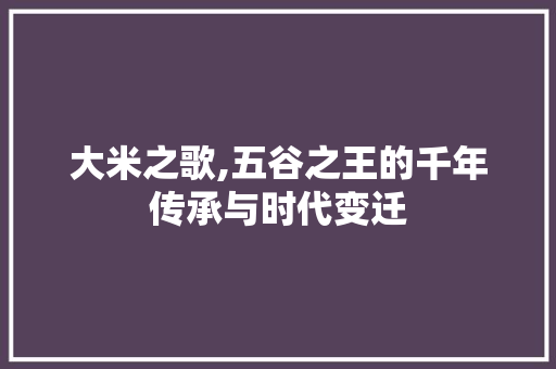 大米之歌,五谷之王的千年传承与时代变迁