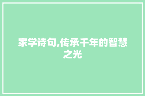 家学诗句,传承千年的智慧之光