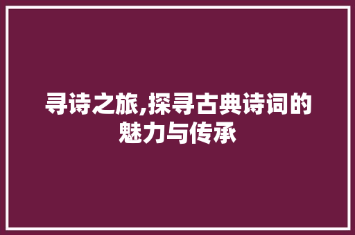 寻诗之旅,探寻古典诗词的魅力与传承