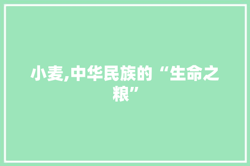 小麦,中华民族的“生命之粮”