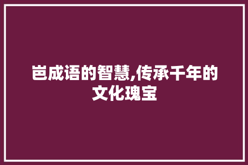 岜成语的智慧,传承千年的文化瑰宝