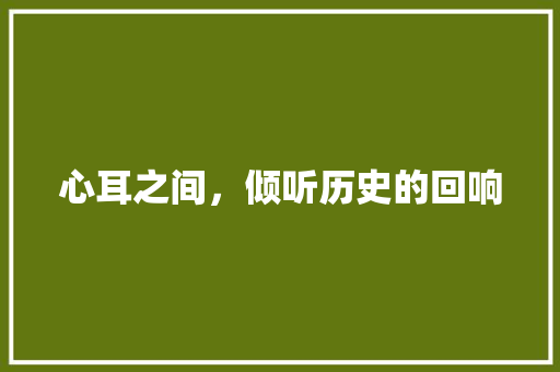 心耳之间，倾听历史的回响