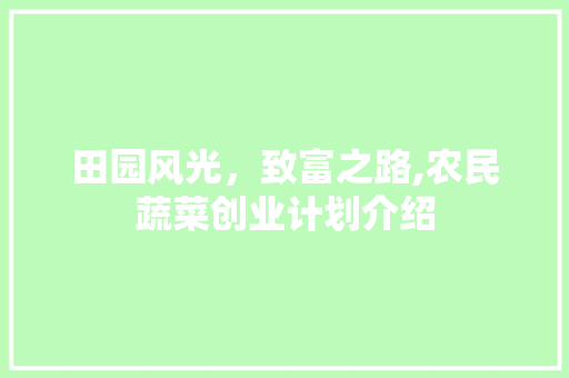 田园风光，致富之路,农民蔬菜创业计划介绍 工作计划