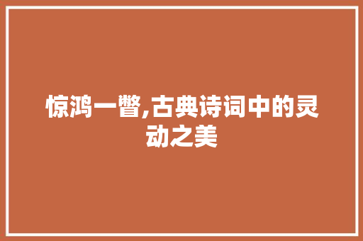 惊鸿一瞥,古典诗词中的灵动之美