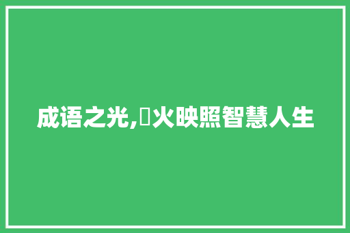成语之光,燏火映照智慧人生