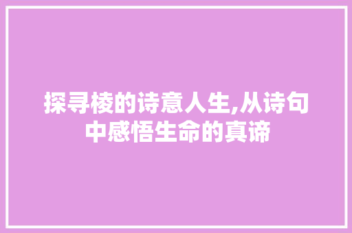 探寻棱的诗意人生,从诗句中感悟生命的真谛