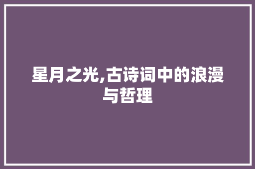 星月之光,古诗词中的浪漫与哲理 工作计划