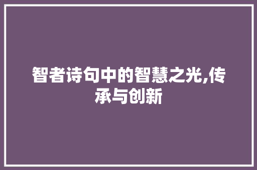 智者诗句中的智慧之光,传承与创新