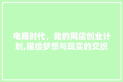 电商时代，我的网店创业计划,描绘梦想与现实的交织