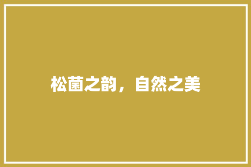 松菌之韵，自然之美